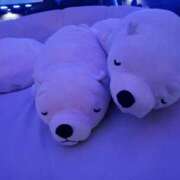 ヒメ日記 2025/01/05 10:33 投稿 かなで 上野デリヘル倶楽部