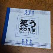 ヒメ日記 2025/01/17 18:56 投稿 かなで 上野デリヘル倶楽部