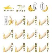 ヒメ日記 2025/03/15 13:23 投稿 かなで 上野デリヘル倶楽部