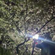 ヒメ日記 2025/04/01 14:45 投稿 かなで 上野デリヘル倶楽部