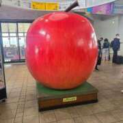 ヒメ日記 2025/04/23 14:08 投稿 かなで 上野デリヘル倶楽部