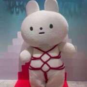 ヒメ日記 2025/07/31 10:05 投稿 かなで 上野デリヘル倶楽部