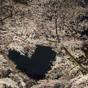 ヒメ日記 2025/12/17 13:50 投稿 かなで 上野デリヘル倶楽部