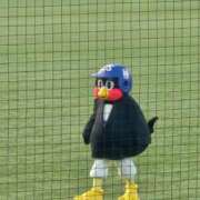 ヒメ日記 2026/06/03 23:47 投稿 かなで 上野デリヘル倶楽部