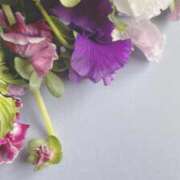 ヒメ日記 2025/02/02 13:30 投稿 四葉 める ハレ系 ひよこ治療院(中州)