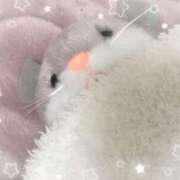 ヒメ日記 2025/02/13 13:30 投稿 四葉 める ハレ系 ひよこ治療院(中州)