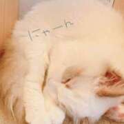 ヒメ日記 2025/02/22 10:30 投稿 四葉 める ハレ系 ひよこ治療院(中州)