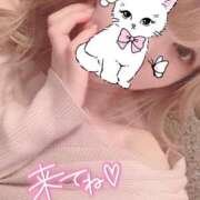 ヒメ日記 2025/03/27 16:00 投稿 四葉 める ハレ系 ひよこ治療院(中州)