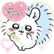 ヒメ日記 2025/04/28 17:00 投稿 四葉 める ハレ系 ひよこ治療院(中州)