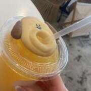 ヒメ日記 2025/05/03 13:30 投稿 四葉 める ハレ系 ひよこ治療院(中州)