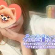 ヒメ日記 2025/06/17 18:00 投稿 四葉 める ハレ系 ひよこ治療院(中州)