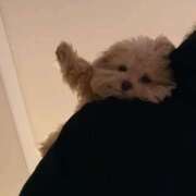 ヒメ日記 2025/06/28 12:01 投稿 四葉 める ハレ系 ひよこ治療院(中州)