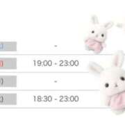 ヒメ日記 2025/07/05 07:30 投稿 四葉 める ハレ系 ひよこ治療院(中州)