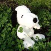 ヒメ日記 2025/07/26 12:00 投稿 四葉 める ハレ系 ひよこ治療院(中州)