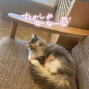 四葉 める 12月もよろしくね😽 ハレ系 ひよこ治療院(中州)