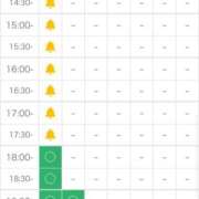 ヒメ日記 2026/01/04 13:16 投稿 四葉 める ハレ系 ひよこ治療院(中州)