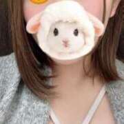 ヒメ日記 2025/04/19 14:24 投稿 みか 学園collection