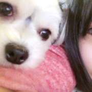 ヒメ日記 2025/10/18 08:47 投稿 もも プレイボーイ(八王子)