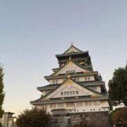 ヒメ日記 2025/11/18 08:47 投稿 もも プレイボーイ(八王子)