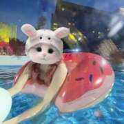 ヒメ日記 2025/07/17 22:30 投稿 ゆの My Essentials