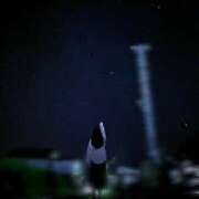 ヒメ日記 2025/08/16 21:12 投稿 しの 君とふわふわプリンセスin西川口