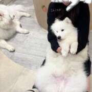 ヒメ日記 2025/09/11 20:20 投稿 しの 君とふわふわプリンセスin西川口