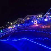 ヒメ日記 2025/12/01 17:56 投稿 みのり ANNEX（アネックス）