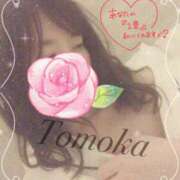 ヒメ日記 2025/11/01 03:23 投稿 トモカ 【福岡デリヘル】20代・30代★博多で評判のお店はココです！