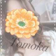 ヒメ日記 2025/11/15 12:00 投稿 トモカ 【福岡デリヘル】20代・30代★博多で評判のお店はココです！