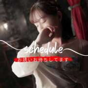 ヒメ日記 2026/04/13 23:15 投稿 トモカ 【福岡デリヘル】20代・30代★博多で評判のお店はココです！