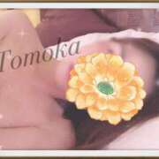 ヒメ日記 2026/04/23 00:37 投稿 トモカ 【福岡デリヘル】20代・30代★博多で評判のお店はココです！
