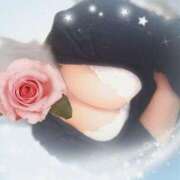 ヒメ日記 2025/03/30 17:50 投稿 みなみ 宮崎ちゃんこ都城店