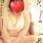 ヒメ日記 2025/07/20 15:55 投稿 みなみ 宮崎ちゃんこ都城店