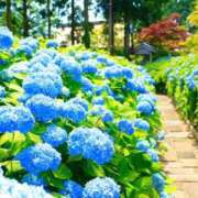 メイサARR そろそろ🐑 甲府人妻隊