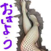 ヒメ日記 2025/01/16 11:54 投稿 のい 埼玉本庄ちゃんこ