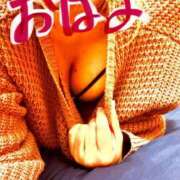 ヒメ日記 2025/02/07 11:14 投稿 のい 埼玉本庄ちゃんこ