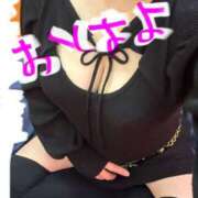 ヒメ日記 2025/03/18 11:34 投稿 のい 埼玉本庄ちゃんこ