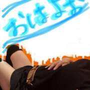 ヒメ日記 2025/04/14 11:34 投稿 のい 埼玉本庄ちゃんこ