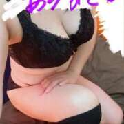 ヒメ日記 2025/11/01 14:34 投稿 のい 埼玉本庄ちゃんこ