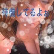 ヒメ日記 2026/02/02 16:34 投稿 のい 埼玉本庄ちゃんこ