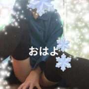 ヒメ日記 2026/02/09 11:24 投稿 のい 埼玉本庄ちゃんこ