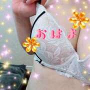 ヒメ日記 2026/03/24 11:24 投稿 のい 埼玉本庄ちゃんこ