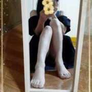 ヒメ日記 2025/08/12 12:32 投稿 森川敬心 五十路マダム愛されたい熟女たち 津山店