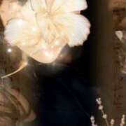 ヒメ日記 2025/11/05 17:58 投稿 森川敬心 五十路マダム愛されたい熟女たち 津山店