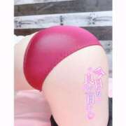 ヒメ日記 2025/04/02 08:15 投稿 まみ 奥さま食堂