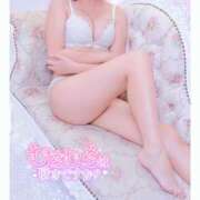 ヒメ日記 2025/07/28 12:02 投稿 まみ 奥さま食堂