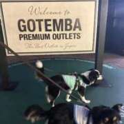 ヒメ日記 2026/03/11 06:17 投稿 沢部うみ 大人のエッチなエステ