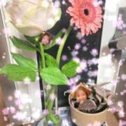 ヒメ日記 2026/05/06 00:45 投稿 沢部うみ 大人のエッチなエステ