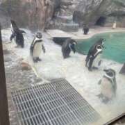 ヒメ日記 2024/12/30 17:00 投稿 みかん 奥様特急新潟店