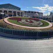 ヒメ日記 2025/03/04 13:20 投稿 みかん 奥様特急新潟店